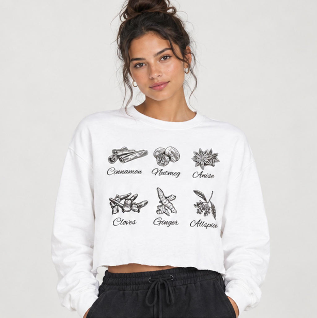 Autumn Spice Illustration Crop Long Sleeve Tee | Minimal Fall Spice Design