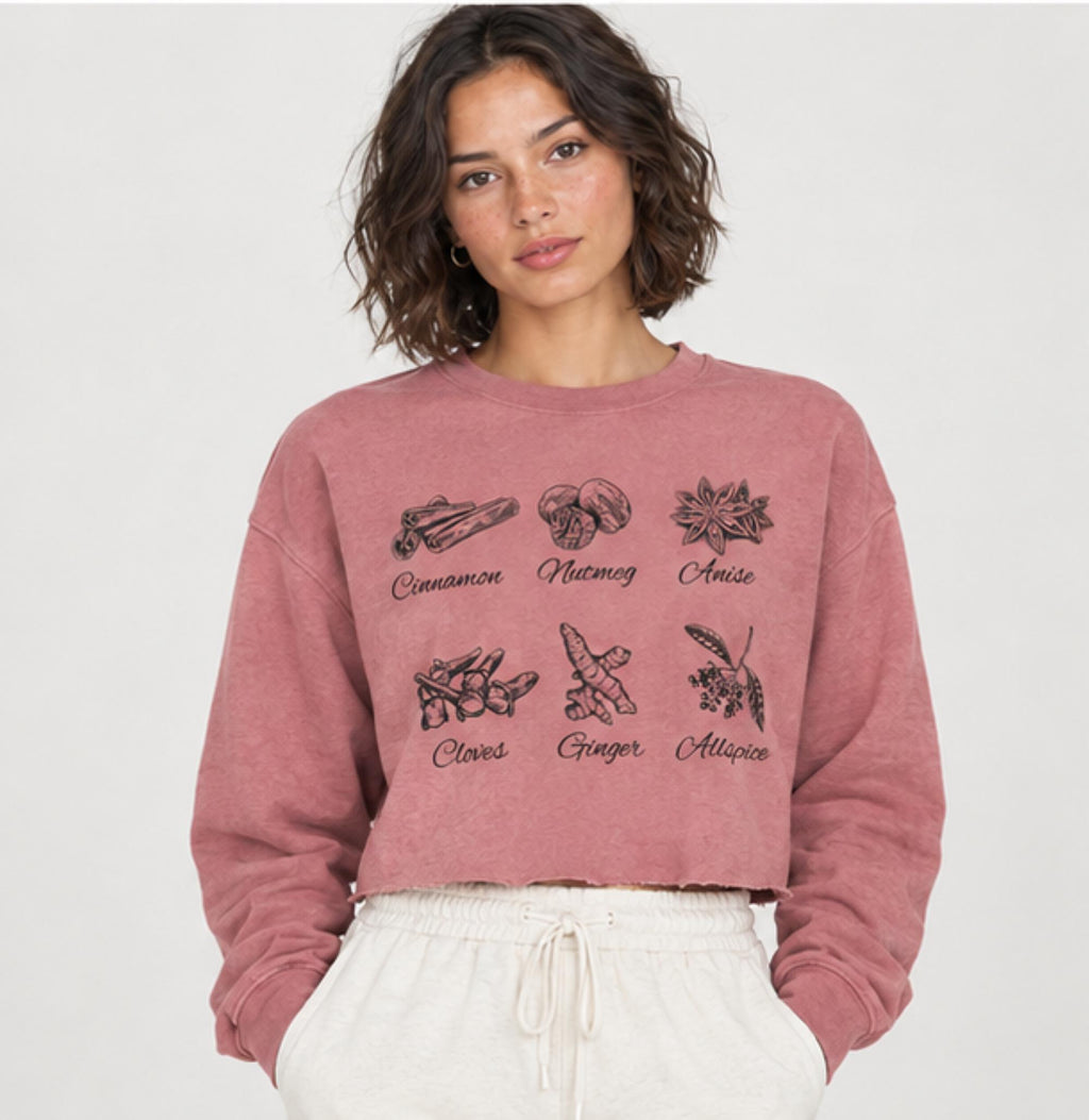 Autumn Spice Illustration Crop Long Sleeve Tee | Minimal Fall Spice Design